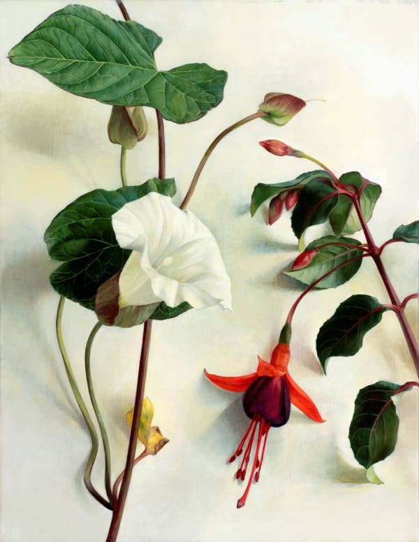 Susan Angharad Williams, Convulvulus and Fuschia, 2023