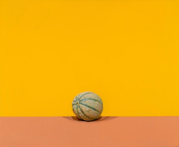 Craig Wylie, An eye in the desert (chameleon), 2024