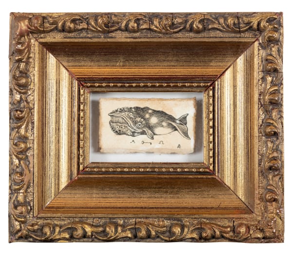 Andrea Collesano, SOGNO ( WHALE LITTLE ) , 2022