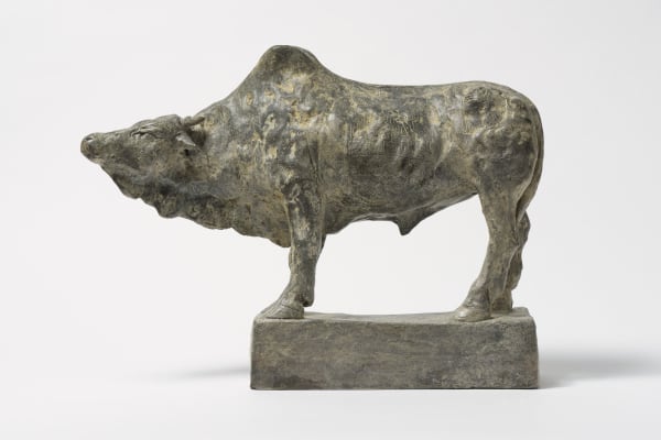 Tanya Brett, Indian Bull