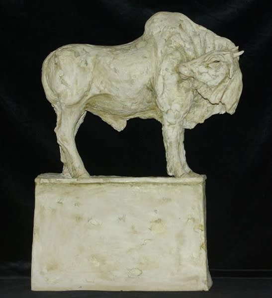 Tanya Brett, Indian Bull