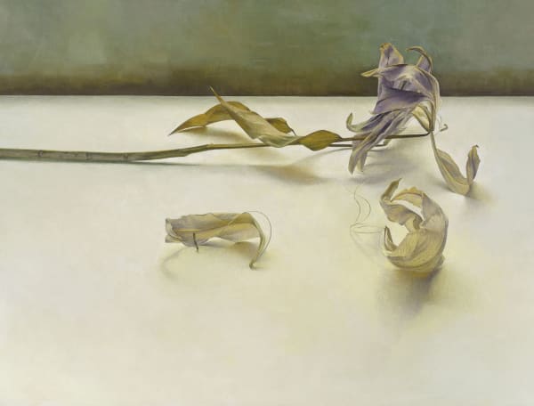 Susan Angharad Williams, Gold and Purple Lily