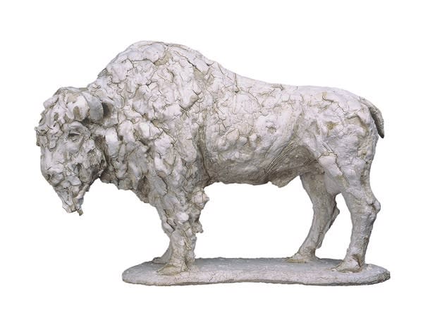 Tanya Brett, American Bison