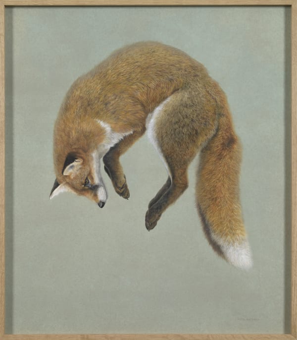 Tim Hayward, Fox pounce, 2021