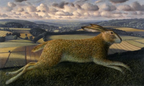 James Lynch, Leaping Hare, Rodmead Farm, Wiltshire