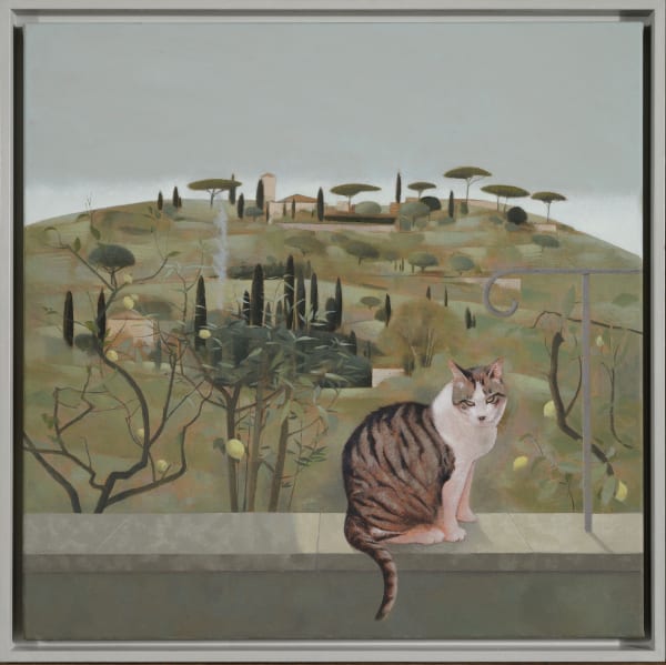 Tom Mabon, Hillside and Cat at Fiesole, 2020