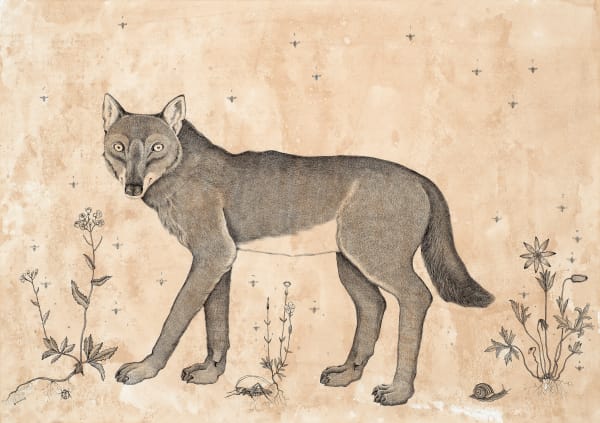 Andrea Collesano DUX ANIMALIS, 2021 Ink on paper 19.68 x 27.55ins (50 x 70cm) (artwork size) 25.78 x 33.85ins (65.5 x 86cm) (framed size)