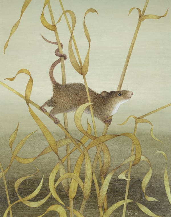 Harriet Bane, Harvest Mouse