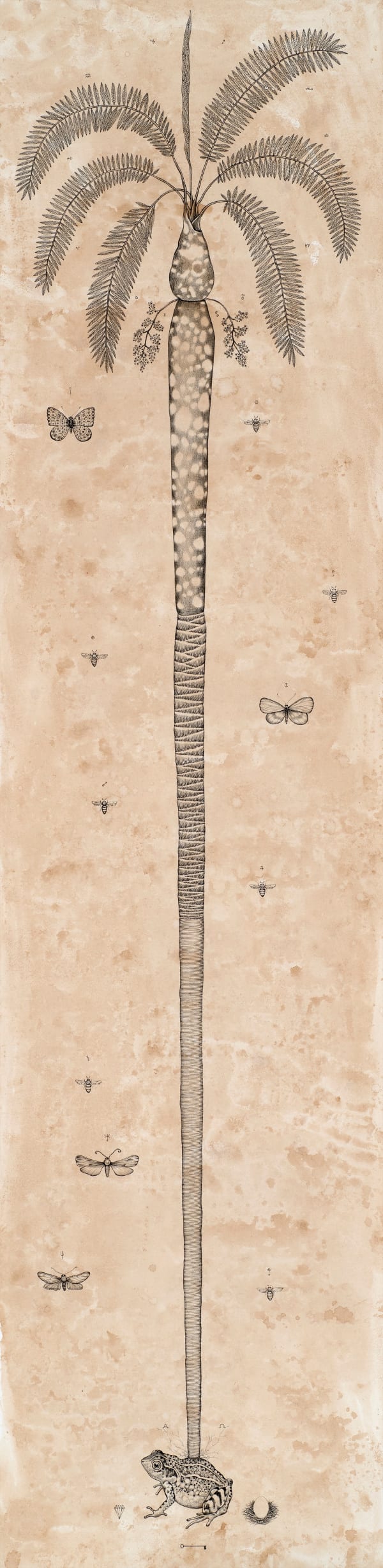 Andrea Collesano DESIDERIO, 2023 Ink on paper 39.37 x 9.84ins (100 x 25cm) (artwork size)