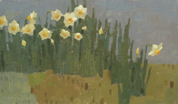 David Grossmann, Garden Daffodils