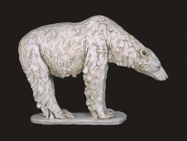 Tanya Brett, Male Polar bear