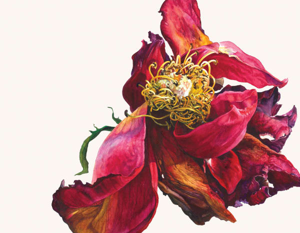 Rosie Sanders, The dance