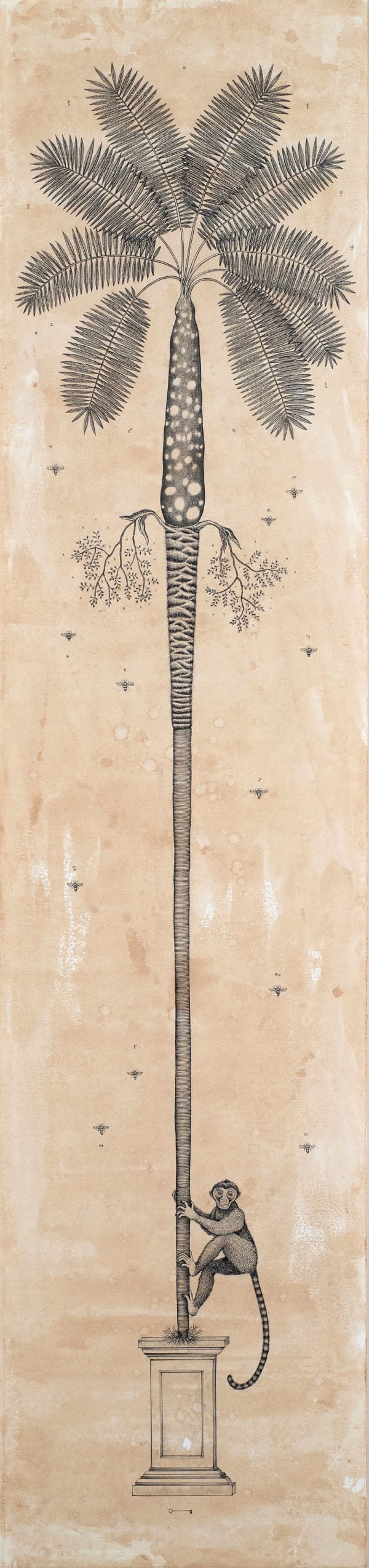 Andrea Collesano, ARECALES (Palm Tree), 2025