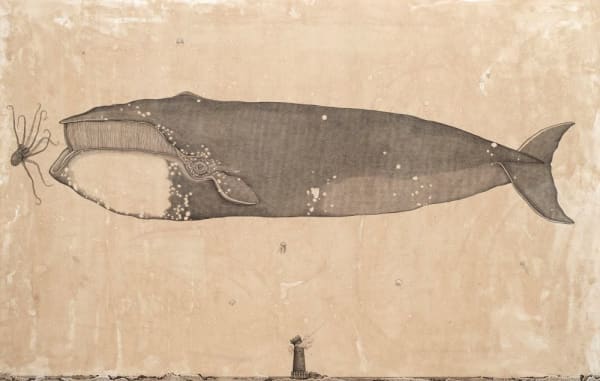 Andrea Collesano, MAGNUS BALAENA MYSTICETUS (Whale), 2025