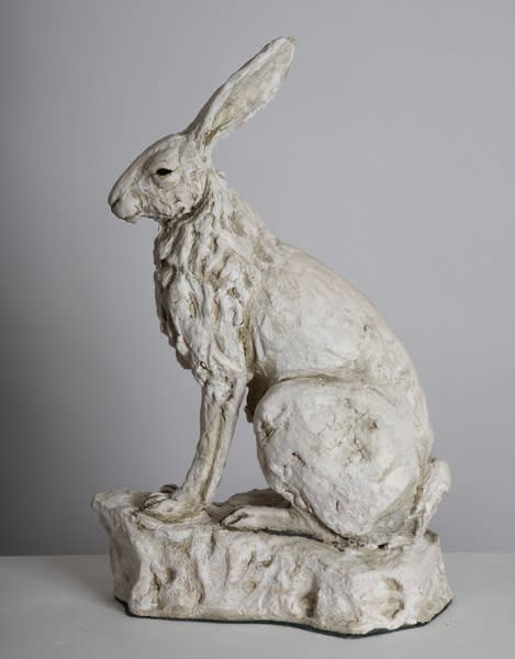 Tanya Brett, Hare II