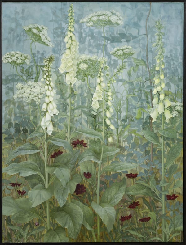 Jane Wormell Foxgloves, Ammi, Chocolate Cosmos, 2020 Oil on linen 39.76 x 29.92ins (101 x 76cm) (artwork size) 40.75 x 30.79ins (103.5 x 78.2cm) (framed size)