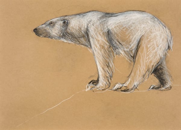 Tanya Brett, Polar Bear Standing