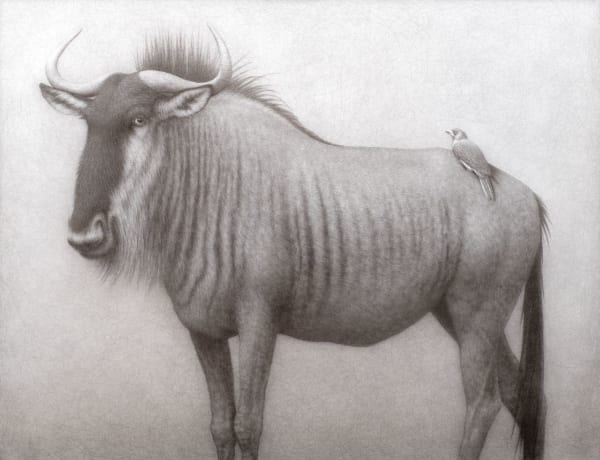 Lee Andre, Unexpected Keystone (wildebeest) , 2024
