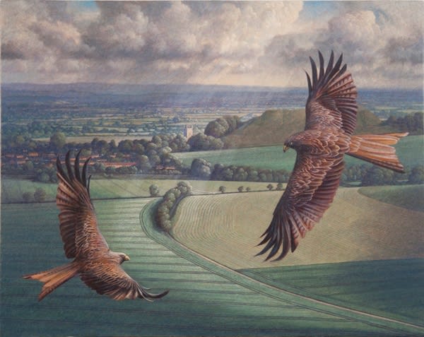 James Lynch, Red Kites in Mere Bowl