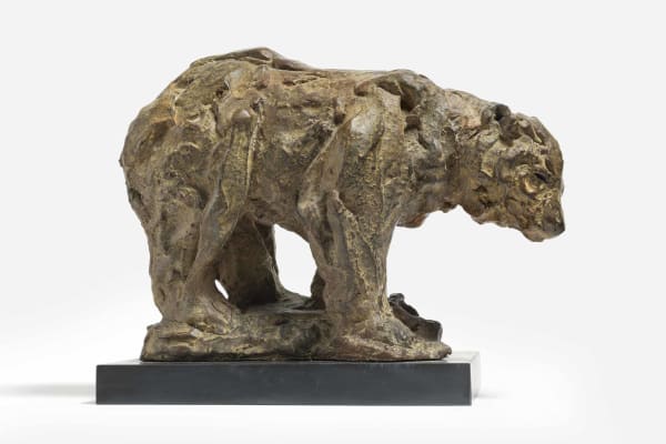 Tanya Brett, Brown Bear