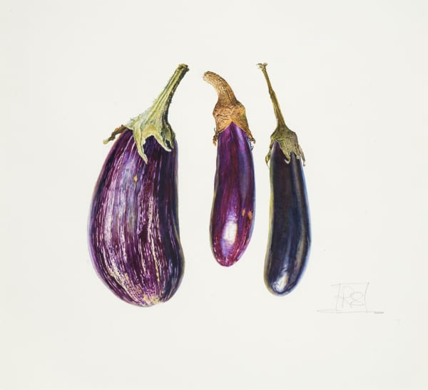 Rosie Sanders, Aubergines