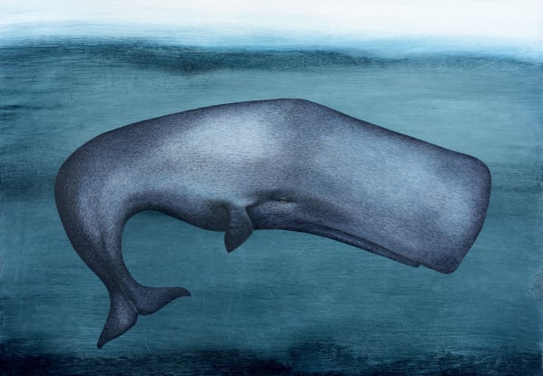 Harriet Bane, Sperm Whale