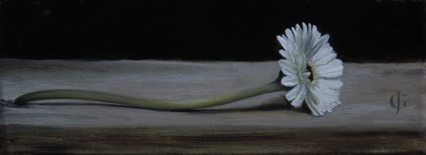 James Gillick, Gerbera