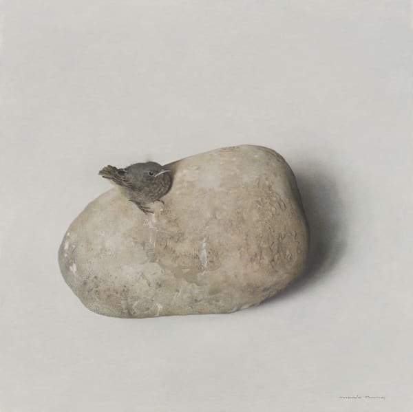 Marzio Tamer Wren on a rock, 2021 egg tempera on panel 19.69 x 19.69ins (50 x 50cms) signed 'Marzio Tamer' bottom right