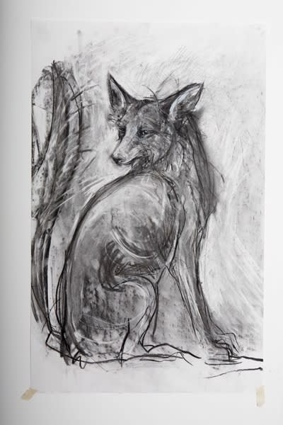 Tanya Brett, Arctic Fox