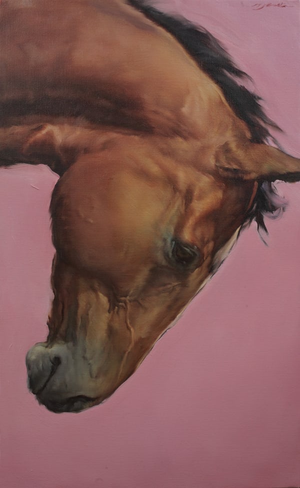 Michael J Austin, Equus I