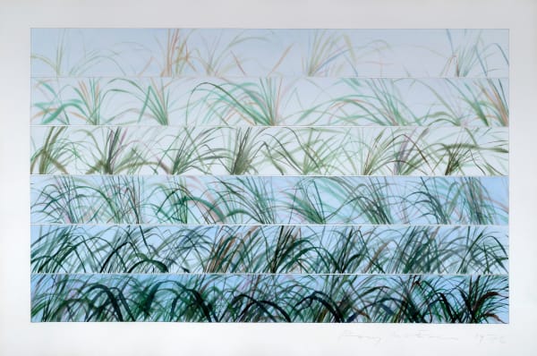 Rory McEwen (1932-1982), Grass Studies, 1976