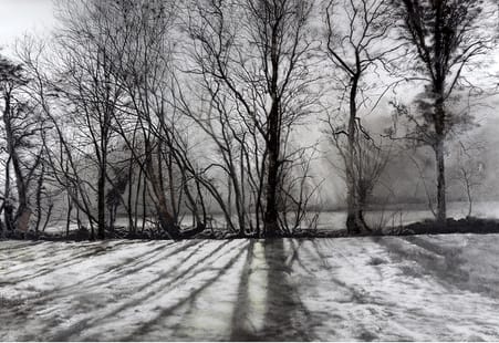 Rosie Sanders, Trees shade the land's shadow, 2021