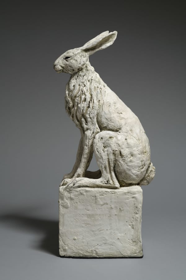 Tanya Brett, Hare IX