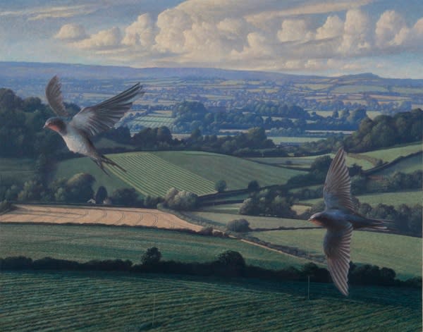 James Lynch, Swallows over Camelot