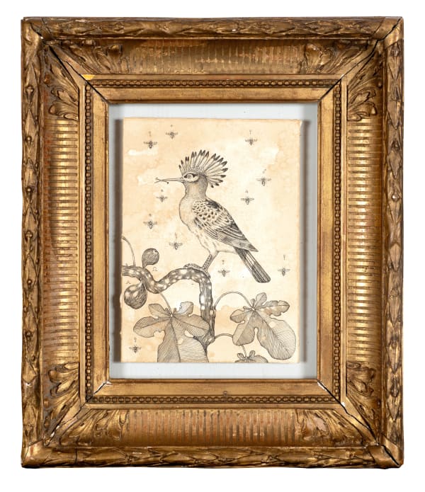 Andrea Collesano, VASTITAS ( UPUPEE ) , 2022