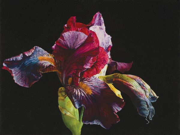 Rosie Sanders, Love's fire