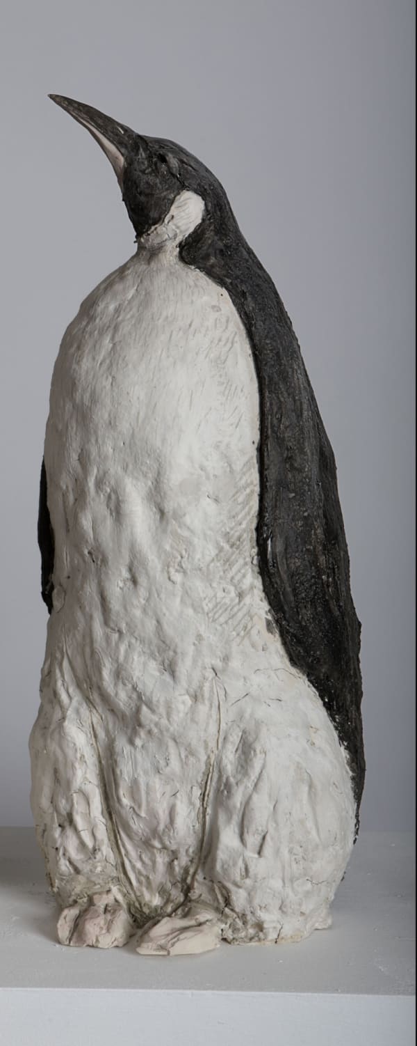 Tanya Brett, Penguin II