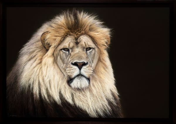 Gary Stinton, Noticed By Lion, 2023