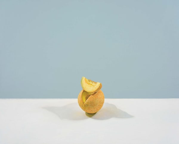 Craig Wylie, Albatross (After Chardin)