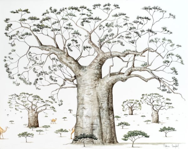 Rebecca Campbell, The Monumental Baobab, Africa’s Mighty Tree Of Life, 2025