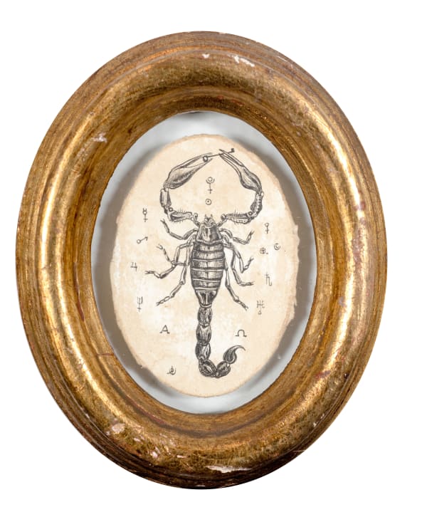 Andrea Collesano, PLUTONE ( SCORPION ) , 2022