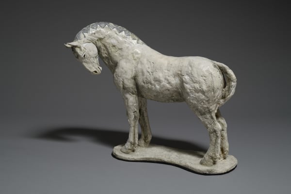 Tanya Brett, Indian Marwari Horse II