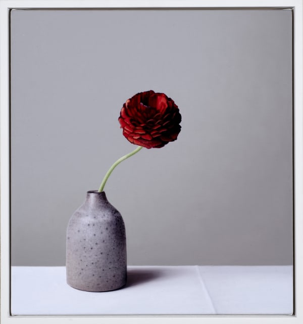 Jo Barrett Still Life with Wood Ash Glazed Bottle and Red Ranunculus - From the Fern Verrow Collection, 2021 Oil on canvas 17.72 x 16.14ins (45 x 41cm) (artwork size) 18.9 x 17.32ins (48 x 44cm) (framed size)