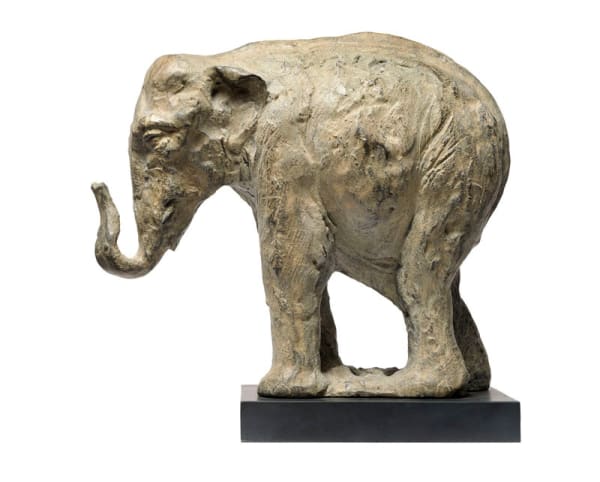 Tanya Brett, Indian Elephant