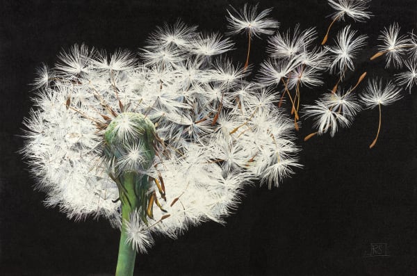 Rosie Sanders, When the clock strikes one