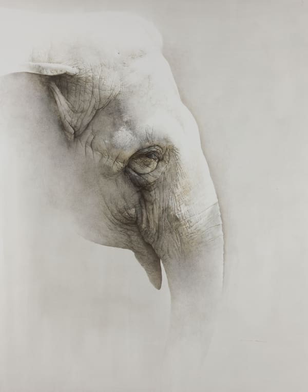 Marzio Tamer, Elephant