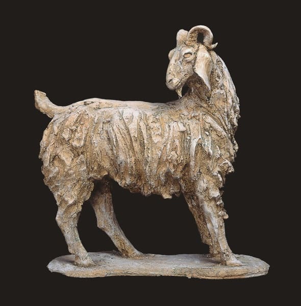 Tanya Brett, Male Nubian Ram