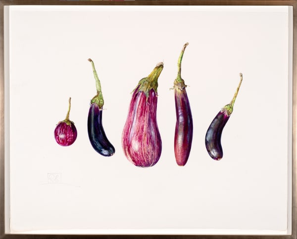 Rosie Sanders Aubergines, 2022 Watercolour on Antique handmade hot pressed paper 17.72 x 22.44ins (45 x 57cm) (artwork size) 19.29 x 24.02ins(49 x 61cm) (framed size)