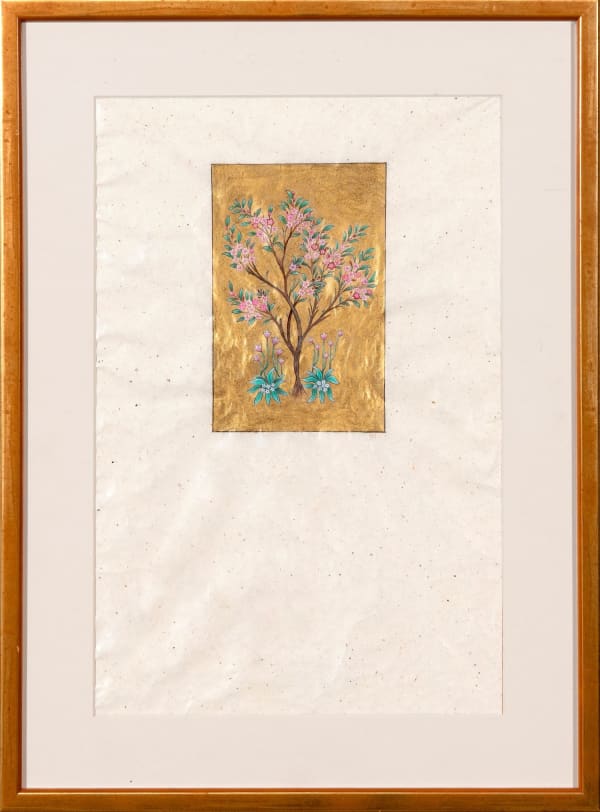 Yasmin Hayat, Spring, 2022/2025