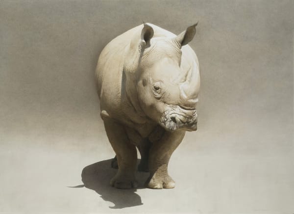 Marzio Tamer Rhino Dry brush watercolour 48.03 x 66.93ins (122 x 170cm) (artwork size) 50.7 x 69.6ins (129 x 177cm) (framed size)